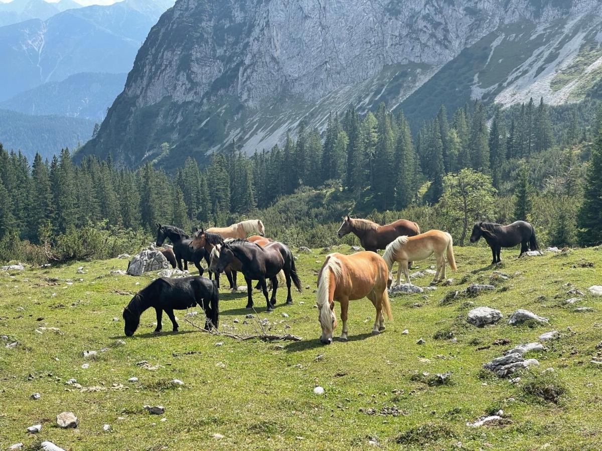 Europarcs Leutasch-Seefeld Hotell Eksteriør bilde